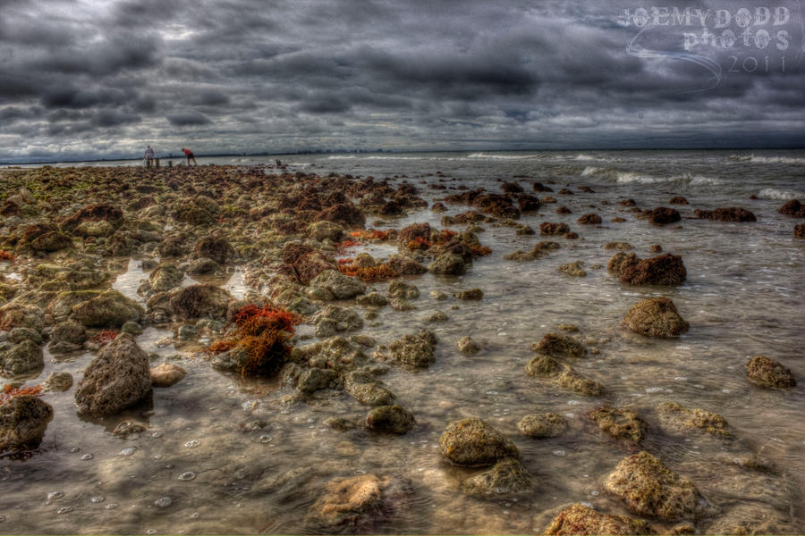 Rocky Shoreline