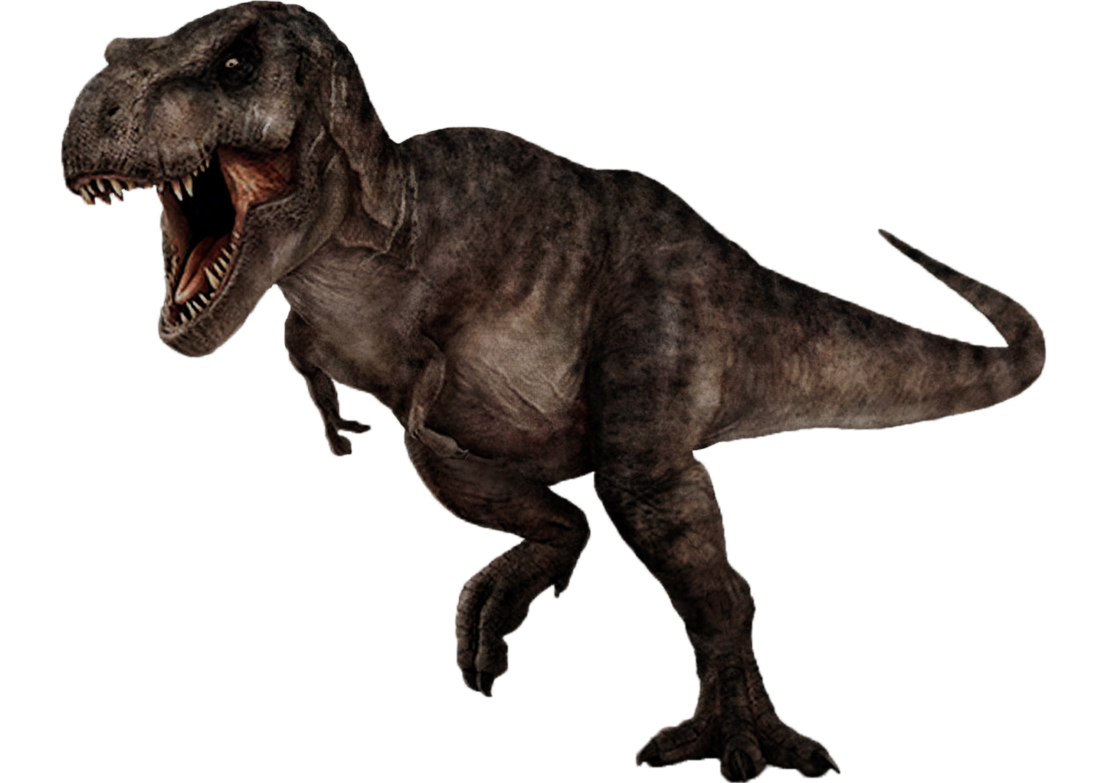 Tyrannosaurus rex 2 by darbarrrr on DeviantArt