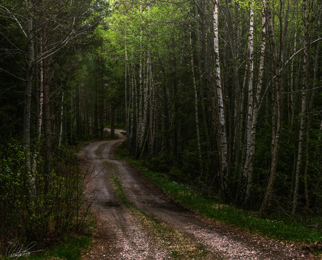 This Road Chose a Walker