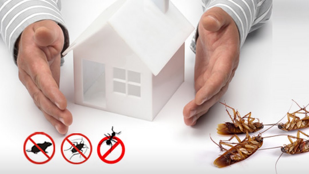 Commercial Pest Control Utah