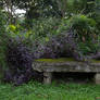 Mossy bench stock