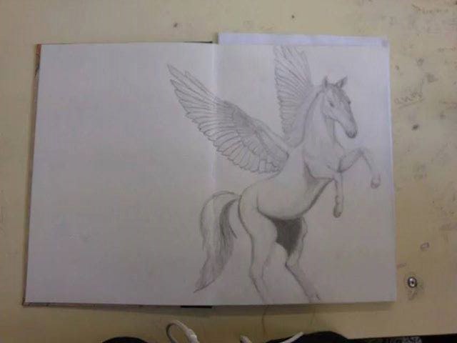 Pegasus #1