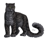 Snow Leopard by DeyVarah