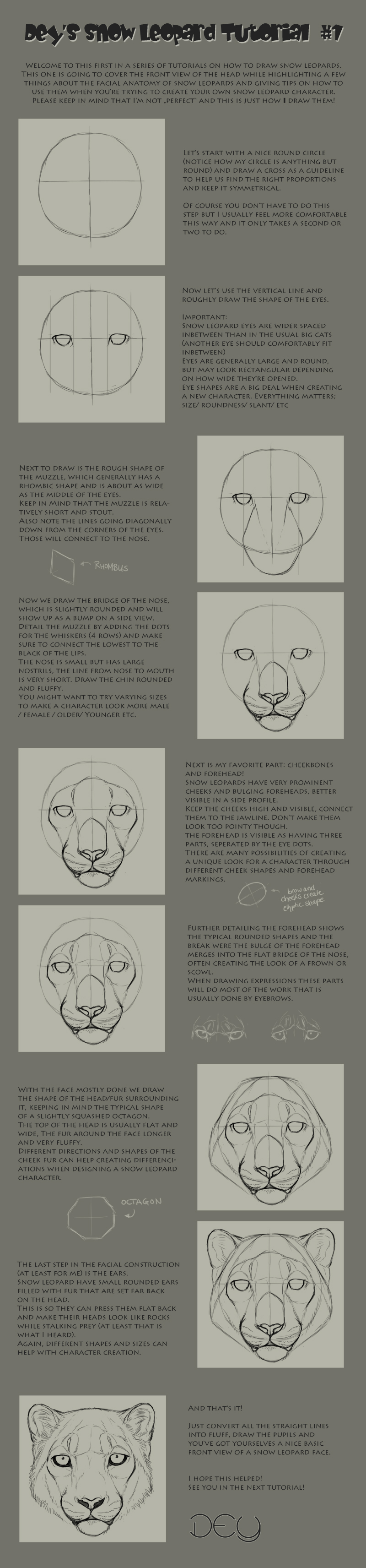 Tutorial: Snow Leopard Head #1