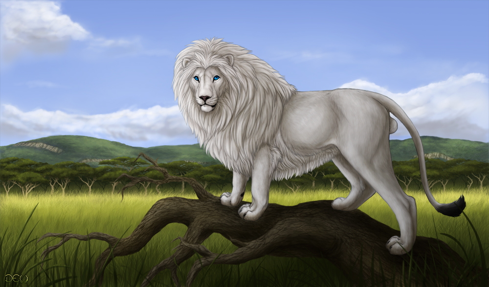 Rakeesh Commission: Rakeesh the White Lion by DeyVarah on DeviantArt