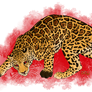 Commission - Red Eyed Jaguar