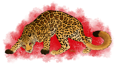 Commission - Red Eyed Jaguar