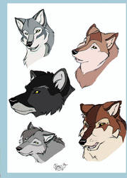 The Wolf adults by DeyVarah