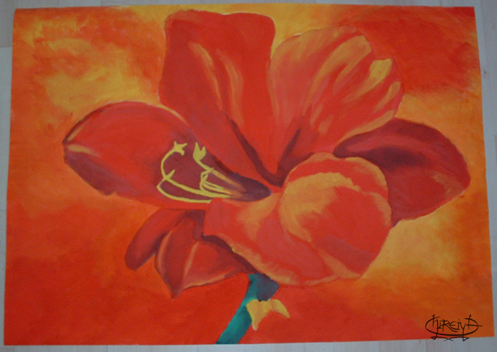 .:Amaryllis:.