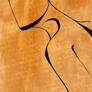 form