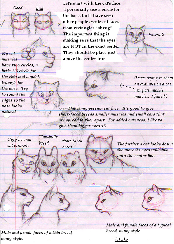 Kitty Tutorials 1- Faces