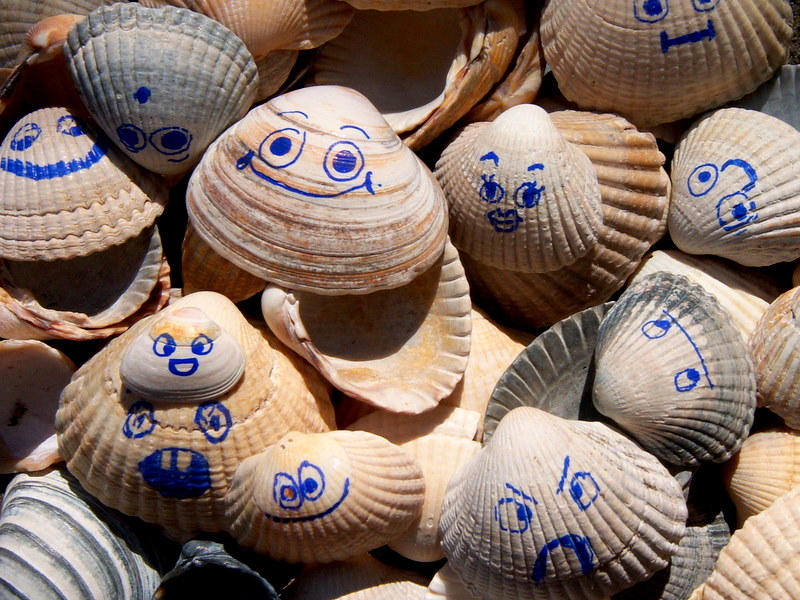 Awesome Shells by HolidaySun on DeviantArt