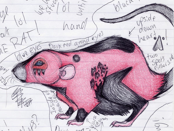 Classroom Thornrat Reference by Thorn-rat on DeviantArt