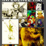 Influence Map
