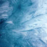 texture 13