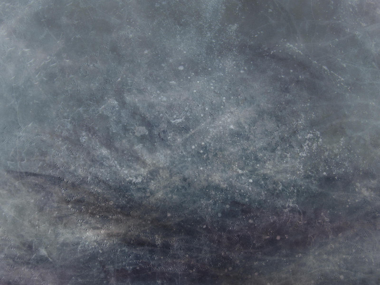 Texture 206