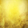 Texture 263