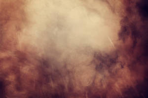 Texture 304