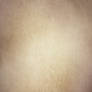 Texture 333
