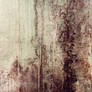 Texture 362