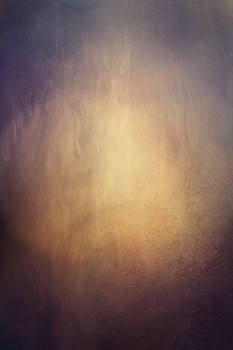 Texture 429
