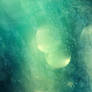 Texture 642