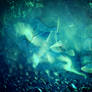 Texture 765