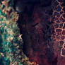 Texture 1004