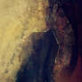 Texture 1008