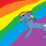 rainbow dash dog