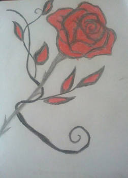 rose