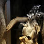 Members of the lemur mafia