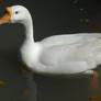 White Goose 2