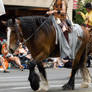 Medieval Costume