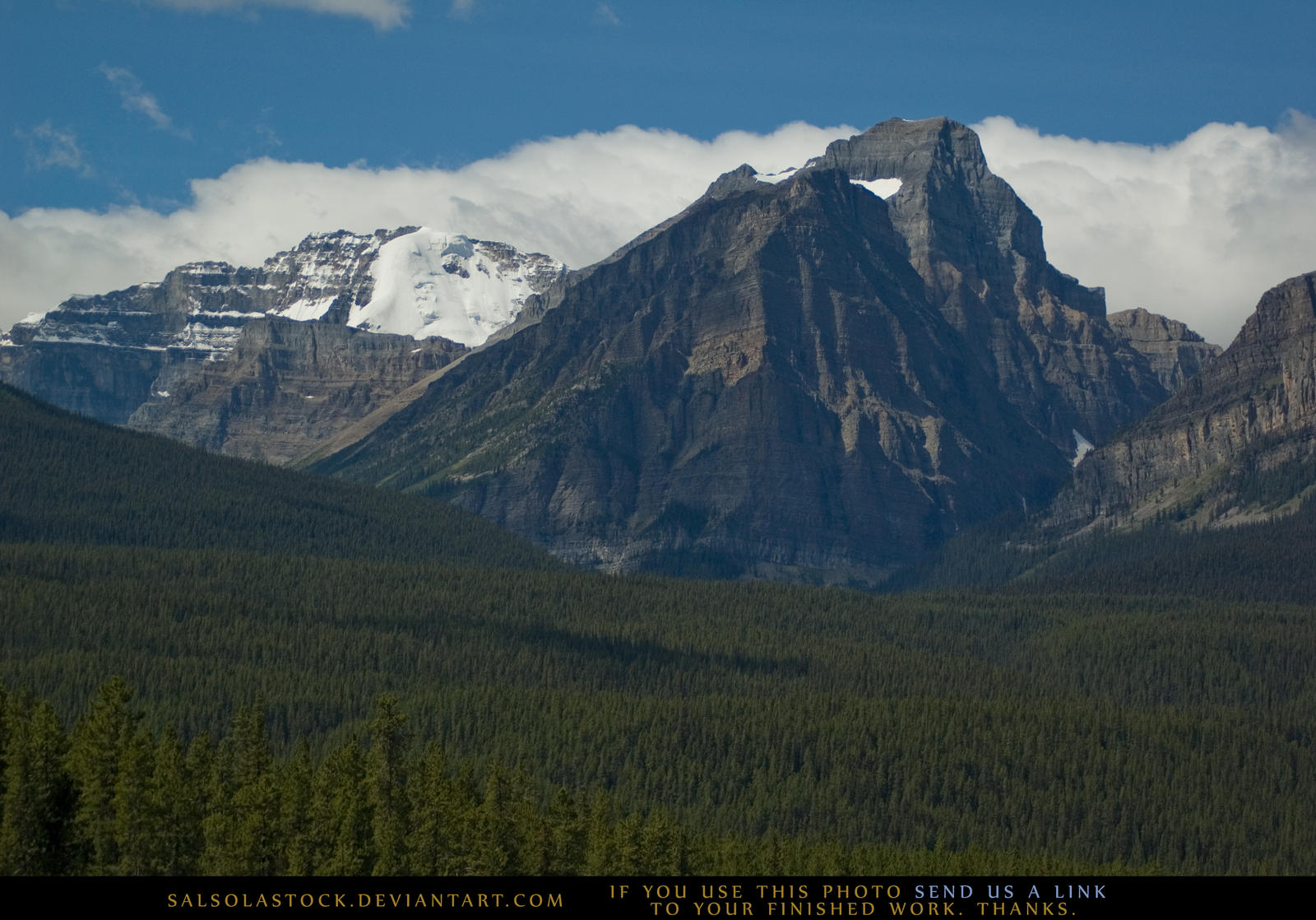 Mountain Forest 1