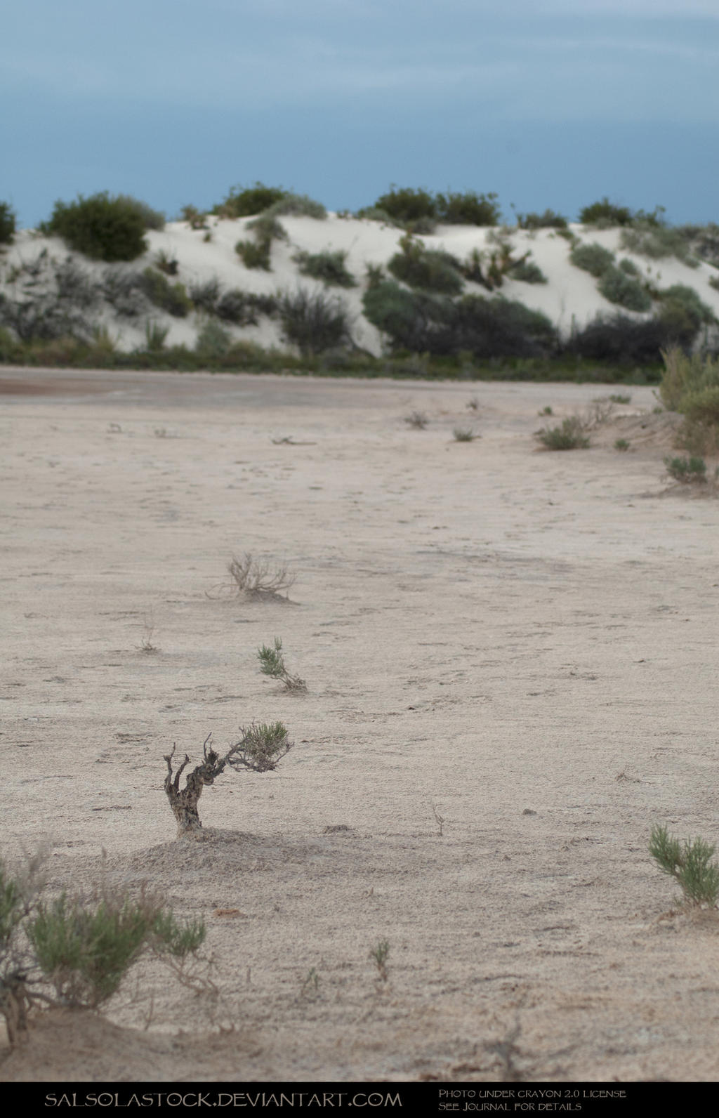 White Sands 1