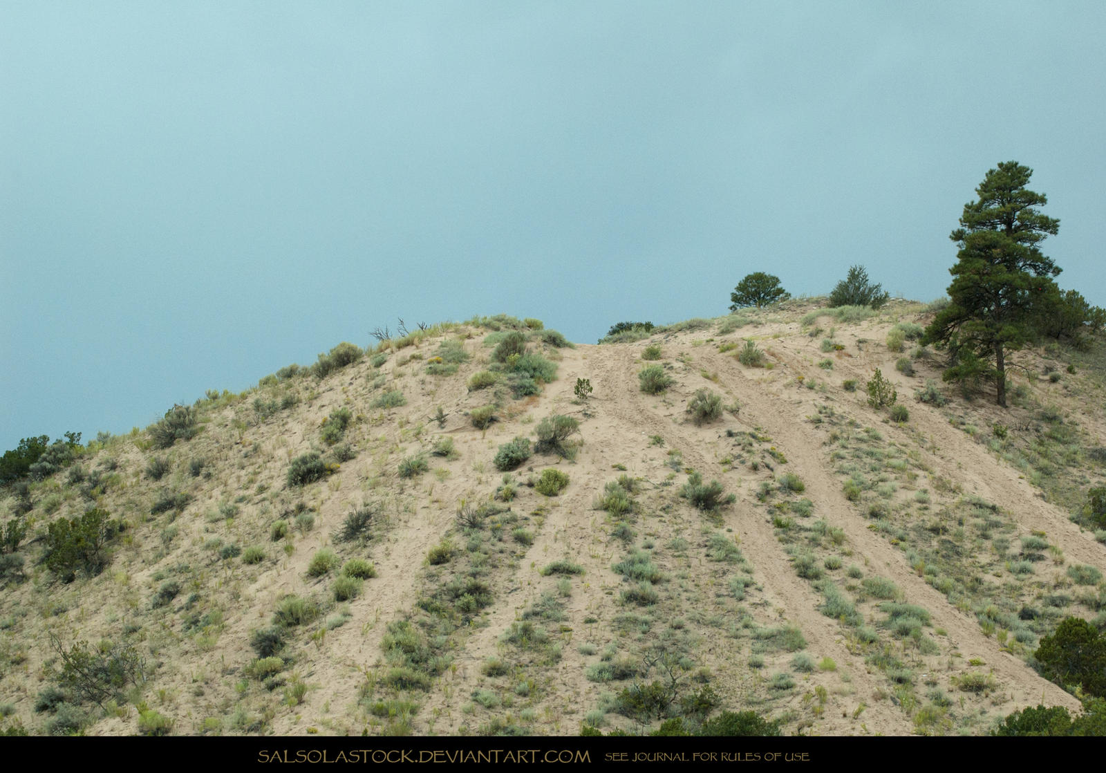 Trails 1