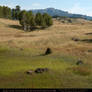 Down In The Valley 01