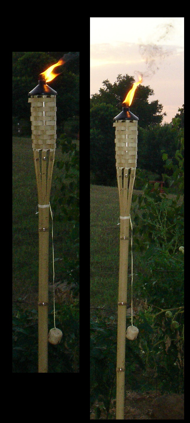 Tiki Torches