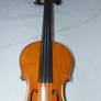 violin 5