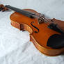 violin 7