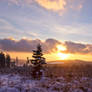 winter panorama