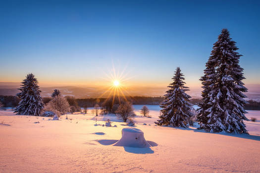 Snowy Land