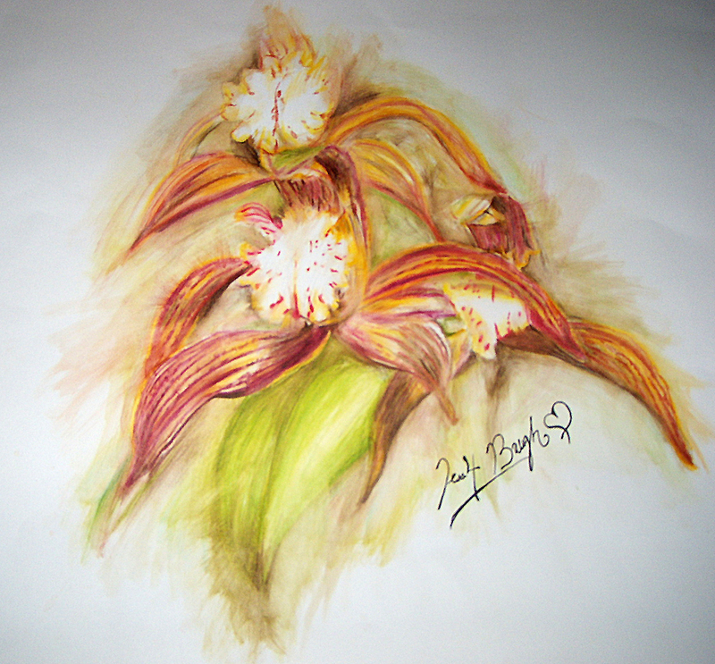 WaterColor Orchid