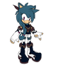 My Character: Serenity The Hedgehog