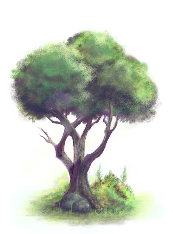 Tree Render Deviantart A Tree by aun61 on DeviantArt