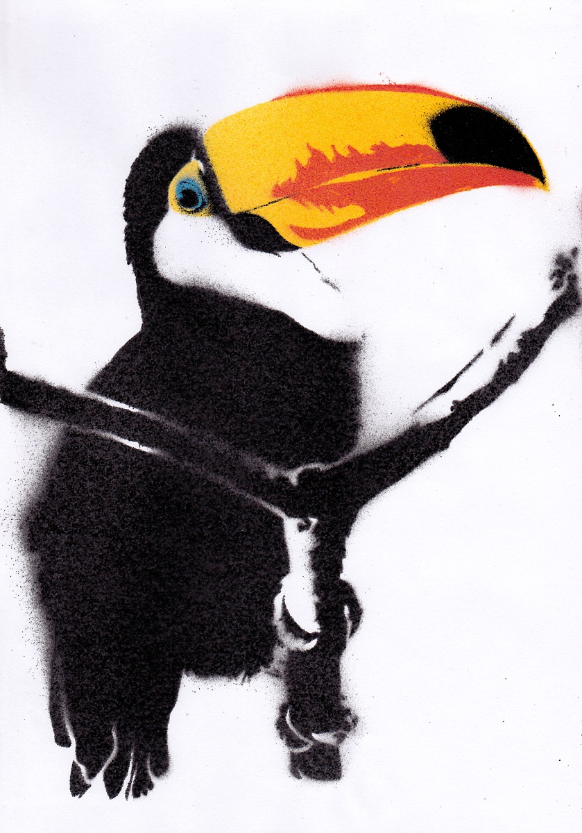 Toucan