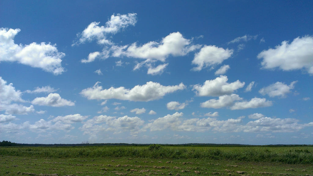 Pastoral Landscape.