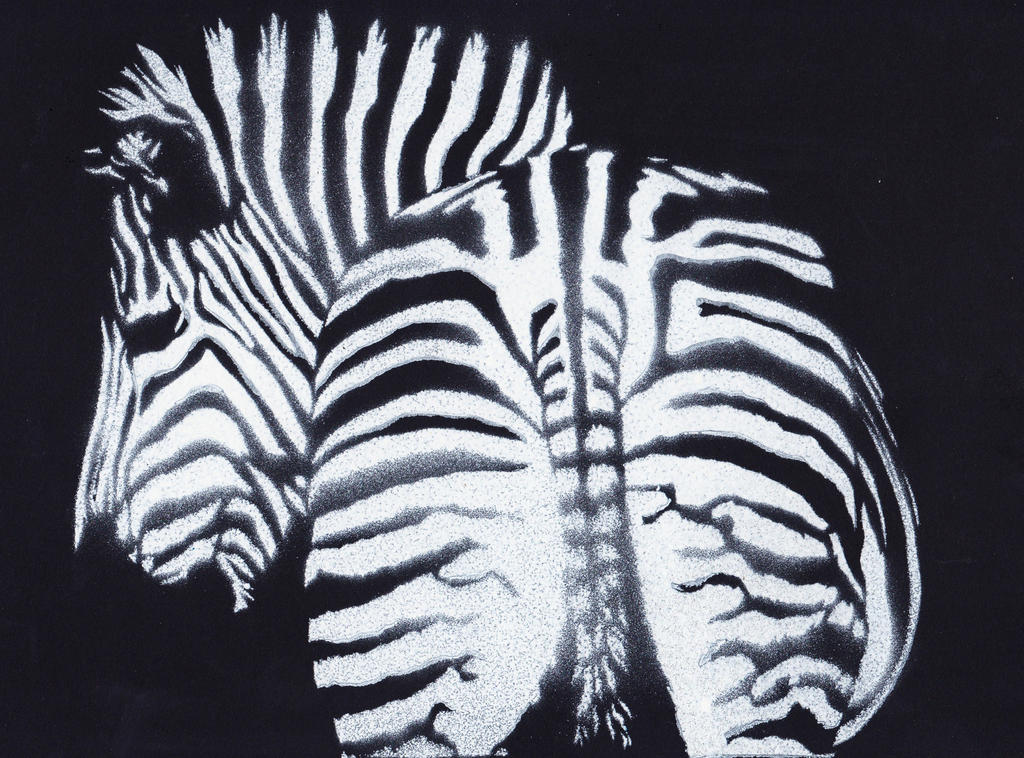 Zebraback