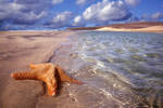 Seashore and Starfish by Spanishalex